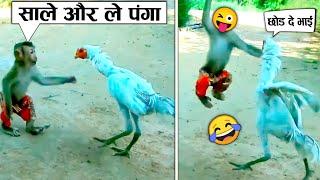 और लो बाप से पंगा  When Animals Messed With Wrong Enemy (Part-6)