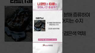 니코틴과 타르가 치아에 미치는 영향?! 