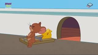 The Tom and Jerry Show Season 3 Episode 15   Vegged Out   Part 01