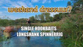 Weekend dressuur? We proberen Single hookbaits en de Longshank Spinnerrig op een druk bevist water.