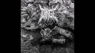 Dirge - Dirge (2024) Full Album HQ (Grindcore)