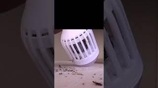 Bug Zapper Light Bulb