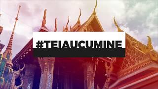 #teiaucumine