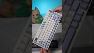 The best aluminum mechanical keyboard under $100?? #tech #technology #mechanicalkeyboard #budget