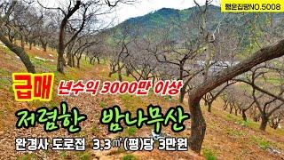 (급매)년 3000만원  수익 나오는 밤나무 산 임야 매매 완경사 전원주택 관광농원 체험영농 가능한 임야 토지 매매 청양부동산~전원주택 농가주택 시골집 체류형쉼터 행운집땅부동산