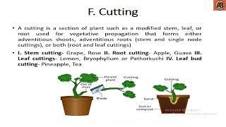 Classification of Propagation ।। "Learn with AB Tusar"