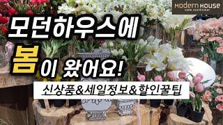 모던하우스몰라보게 예뻐졌다!봄신상품 예쁜것 꼭 찝어드림+세일정보+할인 꿀팁까지 한번에 보세요! 쇼핑 전 필시청~