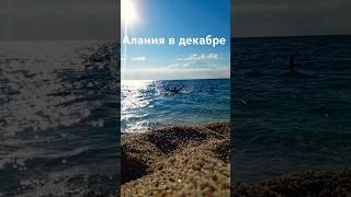 Можно ли купаться в море, в Алании в декабре?