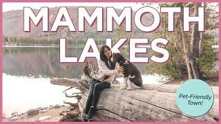 36 Hours in Mammoth Lakes, California With Our Dogs