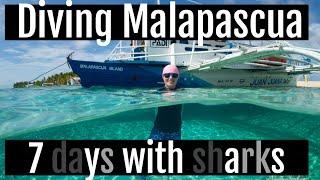 Thresher Sharks - 7 days in Malapascua - Diving in the Philippines: Part 2