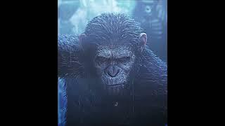 CAESAR VS KOBA EDIT  |  THE WEAKER  |  DAWN OF THE PLANET OF THE APES #dawnoftheplanetoftheapes