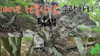 100년된 천종산삼 자생한 구광자리 탐색