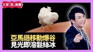 亞馬遜移動爆谷 見光即溶髮絲冰－大家真瘋Show 20210120 梁思浩 苑瓊丹 李日朗
