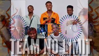 team no limit) biama de cafards audio officiel