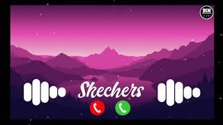 Skechers Ringtone | Skechers Instrumental Ringtone | World Famous English Ringtone | BIN RINGTONES