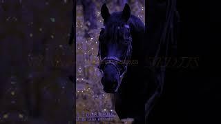 Beautiful Black Horse edit #shorts #capcut #universal #warnerbros #viral