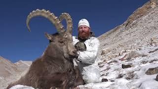 Marco Polo argali and Pamir ibex—a dream hunt