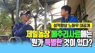 [AT면역사료] 제일농장 메추리사료에는 뭔가 특별한 것이 있다