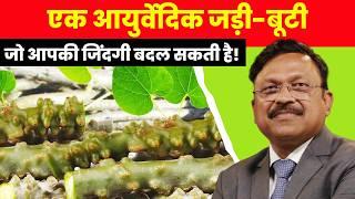 1 आयुर्वेदिक जड़ी-बूटी जो आपकी जिंदगी बदल सकती है! | Amazing Health Benefits of Giloy | SAAOL