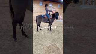 Training a young mare - first ride #horse #training #shorts