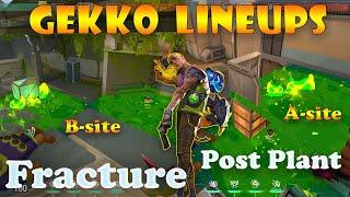 Top 15 Fracture Gekko Post Plant Lineups | Gekko Lineups Fracture | Gekko Mosh Pit (Molly) Fracture