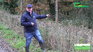 Trees and Hedgerows at Teagasc Ballyhaise College