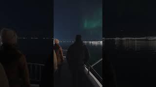 Tromsø Activity: Northern Lights Chase & Fjord Cruise