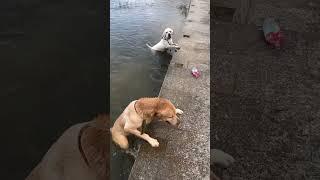 Do you think he is dramatic?