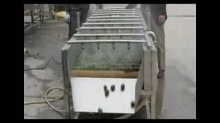 【video】HP-360 Fruit Washing Machine