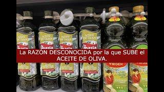 La razón QUE DESCONOCES por la que SUBE el precio del ACEITE DE OLIVA