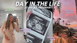 DAY IN THE LIFE: 20 weeks pregnant, anatomy scan, where I've been!