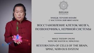 Восстановление клеток мозга, позвоночника, нервной системы. Имидж-терапия с профессором Сюй Минтаном