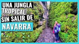 RUTAS por NAVARRA |  𝗕𝗔𝗥𝗥𝗔𝗡𝗖𝗢 𝗱𝗲 𝗢𝗕𝗔𝗡𝗧𝗭𝗘𝗔 | JUNGLA en NAVARRA  - CONFINADOS en NAVARRA #1️⃣8️⃣