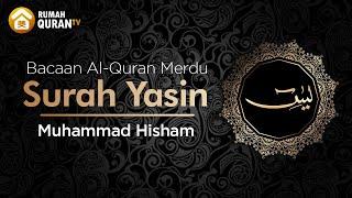 Surah Yasin يس - Mohammed Hesham | Bacaan Al Quran Merdu