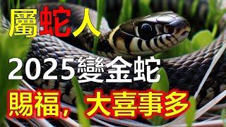 屬蛇人不得了，屬蛇的人觀音賜福，属蛇人请接8喜，1953年屬蛇1965年，生肖屬蛇人簡直就是皇帝命，2025年變金蛇，生肖蛇遇事吉祥如意，生肖蛇一生榮華富貴金錢多，財富滿滿，往期視頻直播