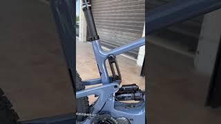 Santacruz Heckler 29