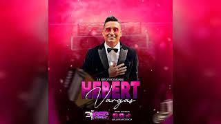 Voy a Amarte (15 EXITOS DE HEBERT VARGAS) #VallenatoMix