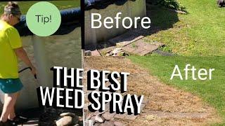 BEST Natural Weed Spray Recipe  QUICK in 24 Hours or Less