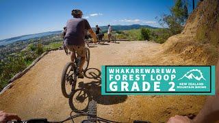 A Beginner Mountain Biker's Guide to the Whakarewarewa Forest Loop - Rotorua Grade 2/Easy