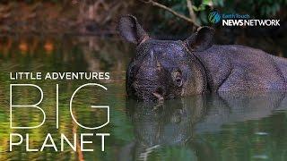 Extraordinary journey to photograph the Javan Rhino