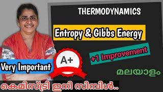 PLUSONE Thermodynamics  Entropy & Gibbs Energy (Malayalam)