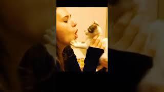 Funny Pets Videos Compilation  #shorts #09