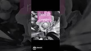 Bed of roses,Bon jovi,mono.version