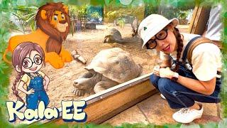 動物|動物園1|Learning animals & exploring London Zoo with Kala EE|廣東話教學|兒童中文學習|親子活動|生活學習|獅子|鳥類|爬蟲類|企鵝|龜