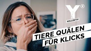 Tierquälerei auf Social Media: Wer steckt dahinter? | Y-Kollektiv