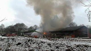 Feuerwehren aus Niedersachsen und Nordrhein-Westfalen im Einsatz Sägewerk im Vollbrand