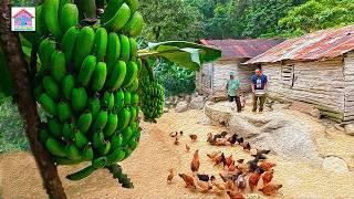 En este CAMPO la vida transcurre COMO SI ESTUVIERAMOS EN EL PASADO detrás de una montaña Jarabacoa