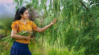 Moringa-Drumstick!|The divine food of nature|Contributed for many delicacies!|Poorna-The nature girl