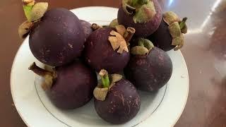 How to eat and cut open mangosteen fruit