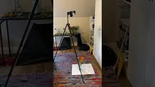 Creative photography ideas/working with plants and shadows